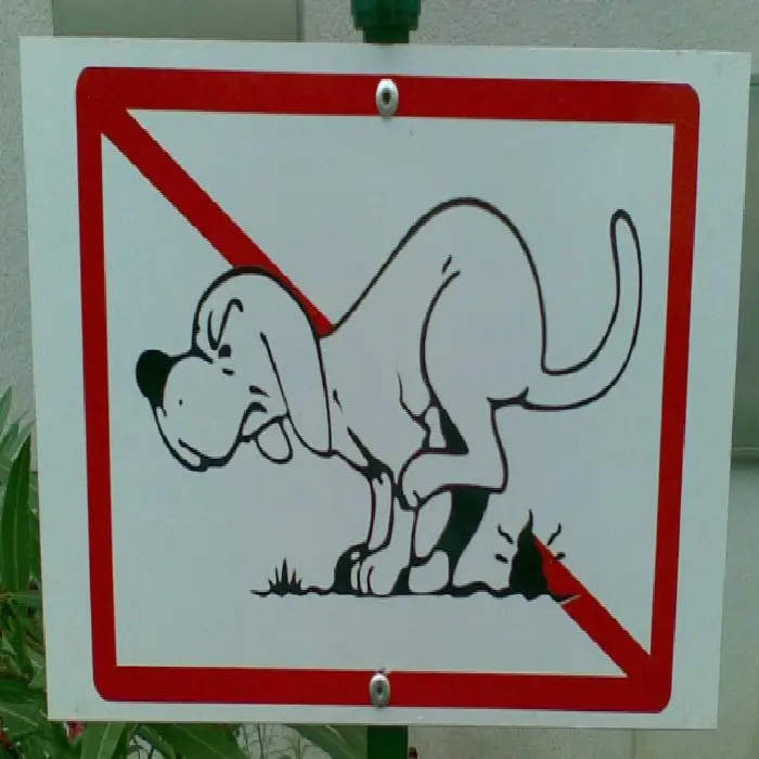 Opozorilna tabla 30cm x 21cm PP 5mm srebrna folija, table za pse, opozorilne table, poberite za svojim psom, prepovedano, table za zunaj,ceneje, ugodno, prihranek, lokalno, ljubljana, opozorilna tabla, UV obstojna, trpežna tabla, srebrna folija, PP plastika, vremenska odpornost